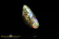 Preview: Jundah opalisiertes Holz Boulder Opal - 6,8ct