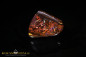 Preview: Yowah Boulder Opal - 32,16ct