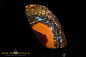 Preview: Yowah Boulder Opal - 67,25