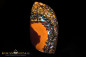 Preview: Yowah Boulder Opal - 67,25