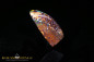 Preview: Yowah Boulder Opal - 8,71ct