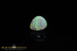 Preview: Lightning Ridge Crystal Opal Opal -2,44ct - Brillanc B4