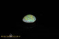 Preview: Lightning Ridge Crystal Opal Opal -2,44ct - Brillanc B4