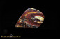 Preview: Koroit Boulder Opal - 25,53ct