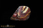 Preview: Koroit Boulder Opal - 25,53ct