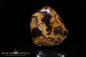 Preview: Yowah Boulder Opal - 47,21ct