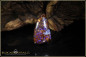 Preview: Winton Boulder Opal pendant - 39,72ct