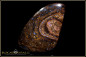 Preview: Yowah Boulder Opal - 110ct