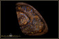 Preview: Yowah Boulder Opal - 110ct