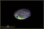 Preview: Andamooka Matrix Multicolor Opal - 10,30ct