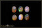 Preview: 6 Stück Welo Opal Cabochon Lot- 5,28ct