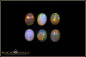 Preview: 6 Stück Welo Opal Cabochon Lot- 5,28ct