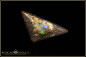 Preview: Winton opalisiertes Holz Boulder Opal - 20,32ct