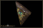 Preview: Winton opalisiertes Holz Boulder Opal - 20,32ct