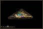 Preview: Winton opalisiertes Holz Boulder Opal - 20,32ct