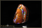 Preview: Koroit Boulder Opal - 33,25ct