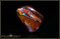 Preview: Koroit Boulder Opal - 33,25ct