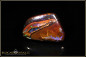 Preview: Koroit Boulder Opal - 33,25ct