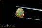 Preview: Pinfire Fancy Trilliant Welo Opal - 2,94ct