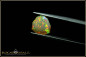 Preview: Pinfire Fancy Trilliant Welo Opal - 2,94ct