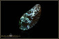 Preview: Bunter Winton Boulder Matrix Opal - 30,41ct