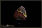 Preview: Yowah Boulder Opal - 24,05ct