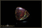 Preview: Yowah Boulder Opal - 24,05ct