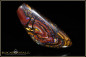 Preview: Yowah Boulder Opal - 79,28ct