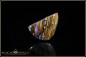 Preview: Yowah opalisiertes Holz Boulder Opal - 15,33ct