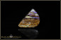 Preview: Yowah opalisiertes Holz Boulder Opal - 15,33ct