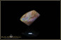 Preview: Jundah opalisiertes Holz Boulder Opal 5,82ct