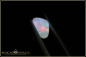 Preview: Weißer Opal aus dem West Side Feld in White Cliffs mit 1,25ct