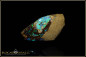 Preview: Black Gate Boulder opalisiertes Holz Opal - 32,51ct