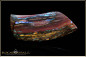 Preview: Koroit Boulder Opal - 36,57ct