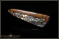 Preview: Yowah opalisiertes Holz Boulder Opal - 23,70ct