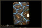 Preview: Winton Boulder Opal - 70,90ct