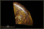 Preview: Yowah Boulder Opal - 48,06ct