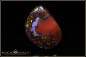 Preview: Yowah Boulder Opal - 44,20ct