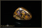 Preview: Yowah Boulder Opal - 29,20ct