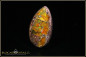 Preview: Mexico Matrix Cantera Fire Opal - 18,90ct