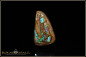 Preview: Winton opalisiertes Holz Boulder Opal - 12,65ct