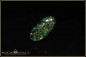 Preview: Andamooka Opal - 5,00ct