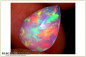 Preview: Bunter Welo Opal im Tropfenschliff facettiert - 2,66ct