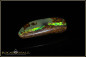 Preview: Yowah Boulder Opal mit Flash - 23,14ct