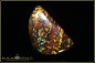 Preview: Koroit Boulder Opal - 35,13ct