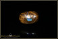 Preview: Yowah Boulder Opal - 16,32ct