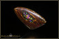 Preview: Opalton Boulder Opal - 19,56ct