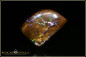 Preview: Winton Matrix Boulder Opal - 24,51ct