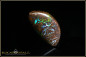 Preview: Winton Matrix Boulder Opal - 22,16ct