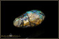 Preview: Yowah opalisiertes Holz Boulder Opal 15,43ct